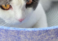 Removable Bowl Pot Shape EN71 Cat Cave Felt For Pet Toys Organizer